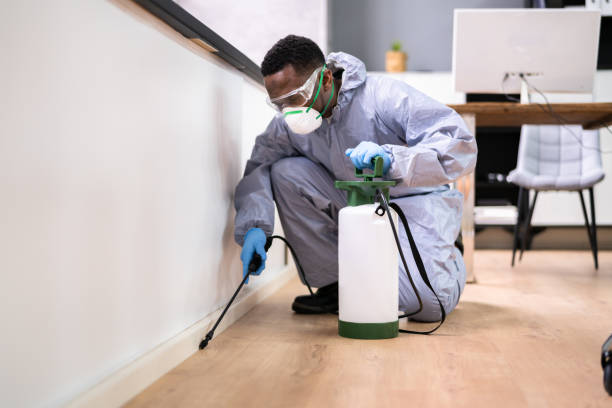 Best Residential Pest Control  in Wlow Springs, IL